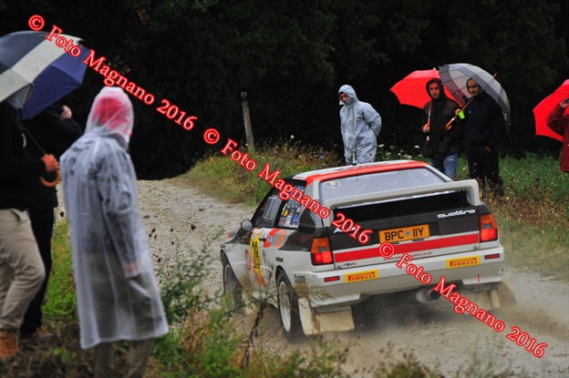 DSC_9980.JPG